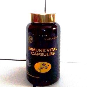 norland immune vital capsules
